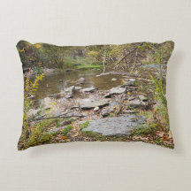 Atteindre l'autre côté du ruisseau