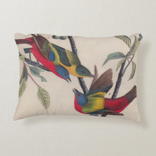 Coussins Décoratifs Audubon Peint Bunting Bird Wildlife