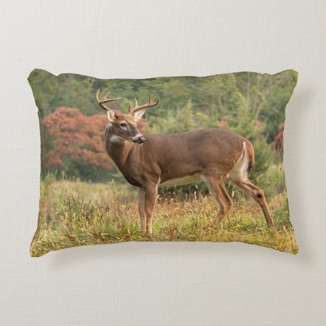 Coussins Décoratifs Automne Whitetail Buck (Devant)