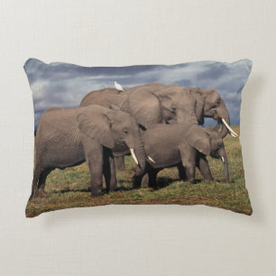 Coussins Décoratifs Baby African Elephant avec famille