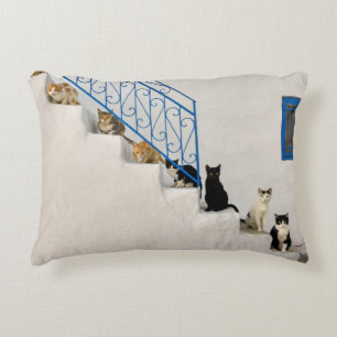 Coussins Décoratifs Beaucoup de chats sur un escalier blanc dans un vi