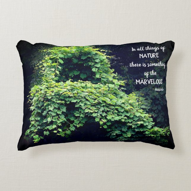 Coussins Décoratifs Beauty In Nature Vines Inspirational Quote  (Devant)