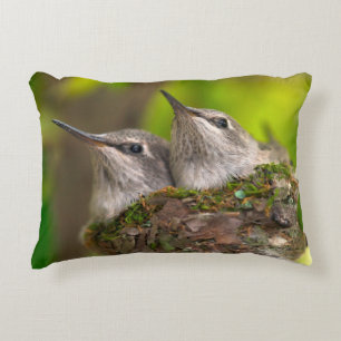 Coussins Décoratifs Bébés colibris