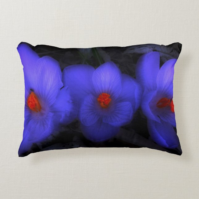 Coussins Décoratifs Belle floraison de crocus bleu pourpre (Devant)
