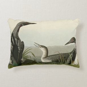 Coussins Décoratifs Black Throated Diver Loon Audubon Birds of America
