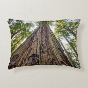 Coussins Décoratifs Bois de Roosevelt