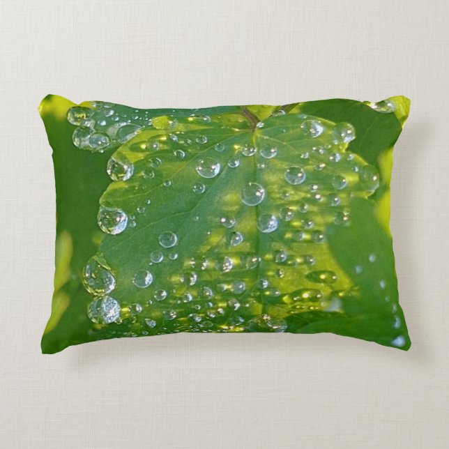 Coussins Décoratifs Boutons cool Sur Feuille Verte (Devant)