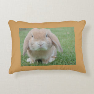 Coussins Décoratifs Bunny Art Office Accueil Bureau Destiny'S Destiny