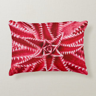 Coussins Décoratifs cactus d'épine, motif naturel, backgrou rouge abst