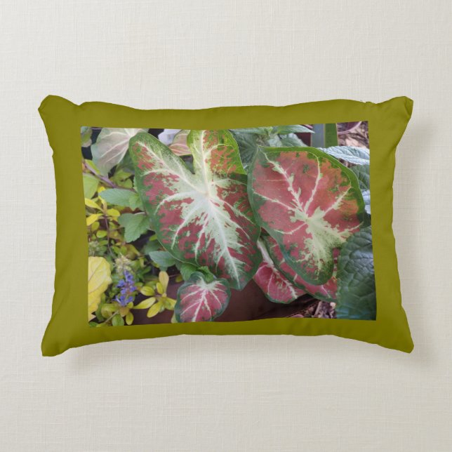 Coussins Décoratifs Caladium Garden  (Devant)