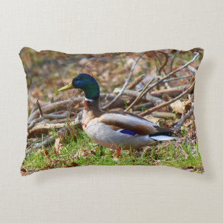 Coussins Décoratifs Canard masculin de Mallard