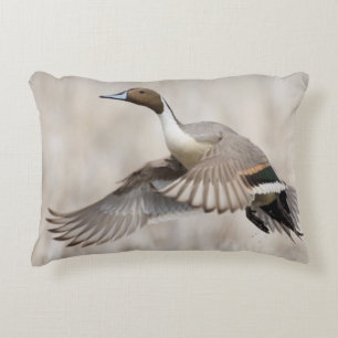 Coussins Décoratifs Canard pilet Drake effectuant le vol