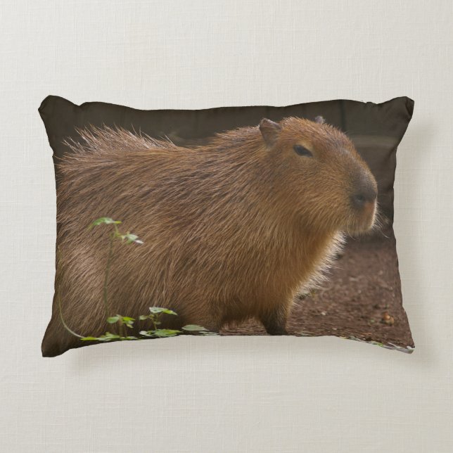 Coussins Décoratifs Capybara (Devant)
