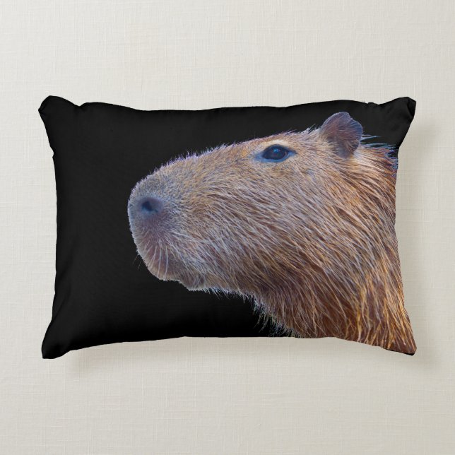 Coussins Décoratifs Capybara (Devant)