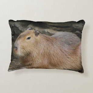Coussins Décoratifs capybara-7