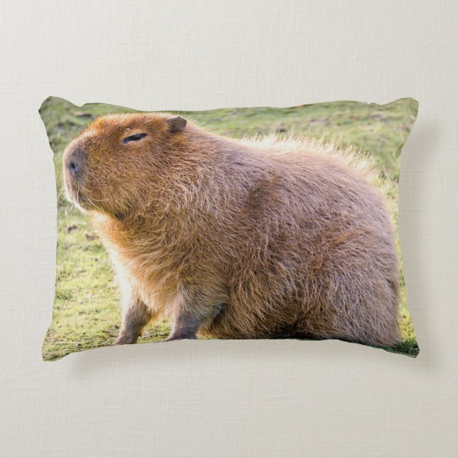Coussins Décoratifs Capybara Cushion (Devant)