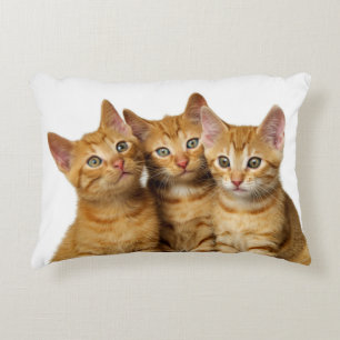 Coussins Décoratifs Cat Kittens, trois mignons gingembre Photo de la t