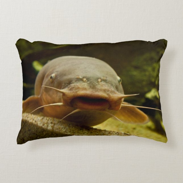 Coussins Décoratifs Catfish (Devant)