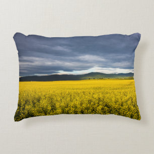 Coussins Décoratifs Champ de canola dans la lumière du matin dans la F