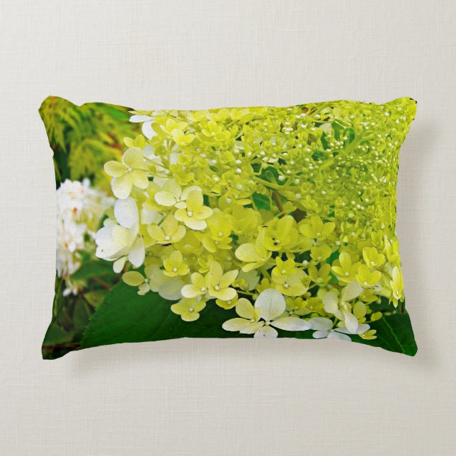 Coussins Décoratifs Chartreuse Vert, Limelight Hydrangea, (Devant)