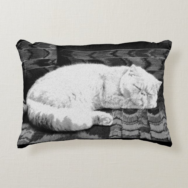 Coussins Décoratifs Chat persan blanc endormi (Devant)