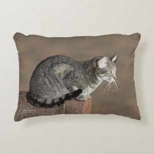 Coussins Décoratifs Chat Tabby Gris Fumé