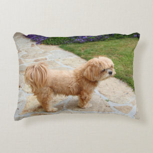 Coussins Décoratifs Chien Lhasa Apso dans un jardin