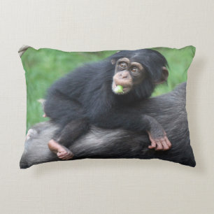 Coussins Décoratifs Chimpanzé 032