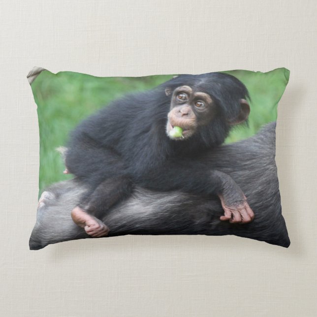 Coussins Décoratifs Chimpanzé 032 (Devant)