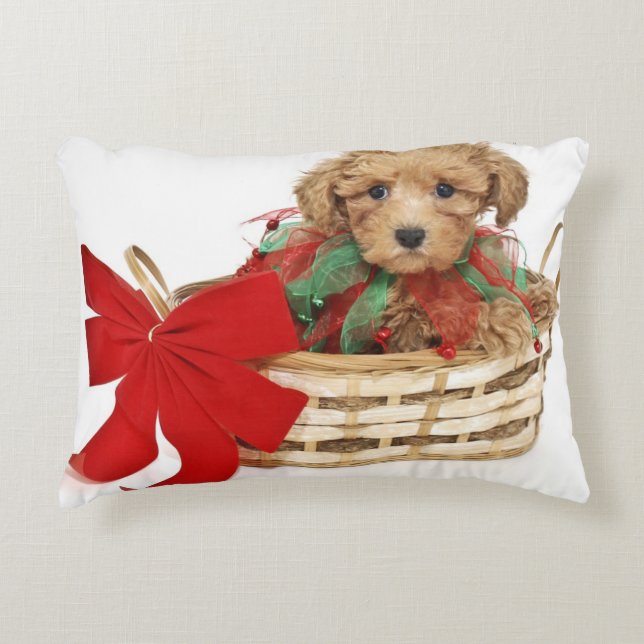 Coussins Décoratifs Chiot de caniche se reposant dans le panier de (Devant)
