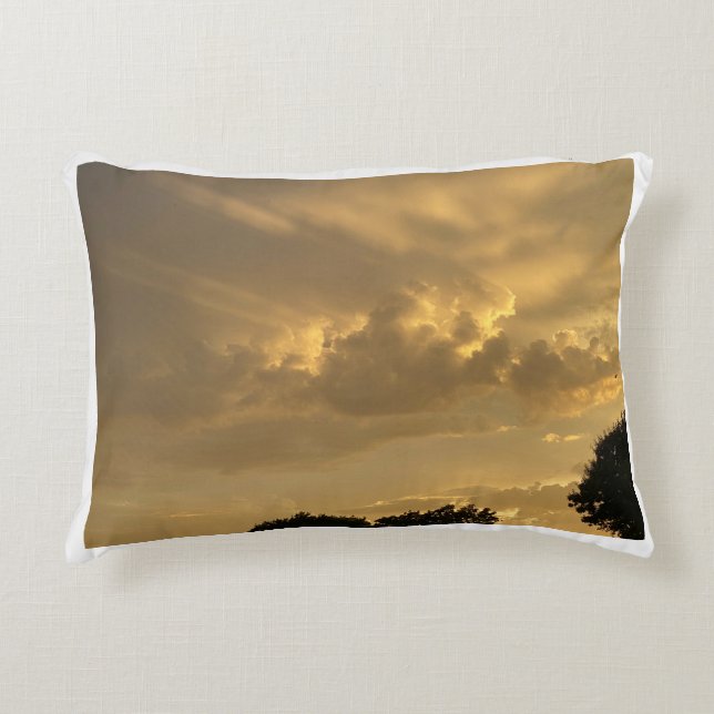 Coussins Décoratifs Ciel Nuageux Avec Oiseau (Devant)