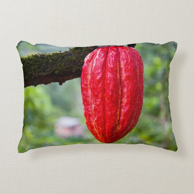 Coussins Décoratifs cocod (Devant)