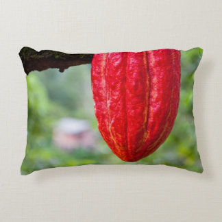 Coussins Décoratifs cocod