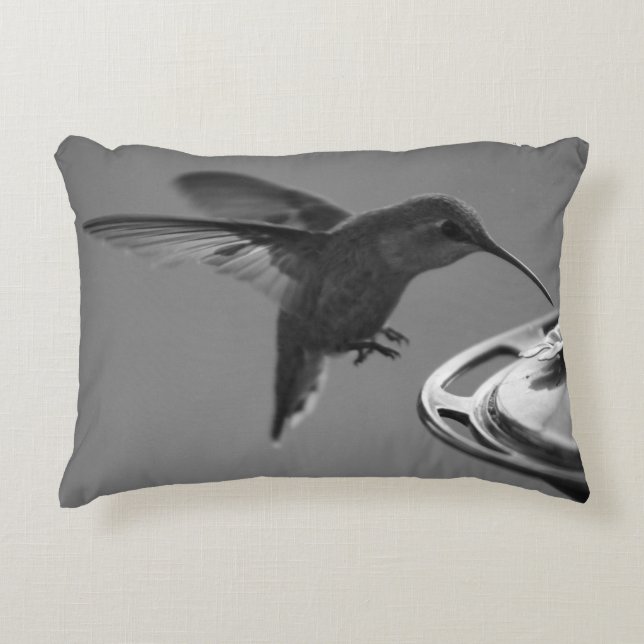 Coussins Décoratifs Colibri au Mangeoire Noir et Blanc 2 ou 3 (Devant)
