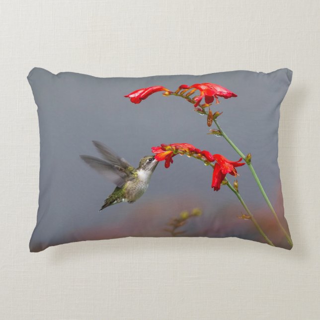 Coussins Décoratifs Colibri et Crocosmia (Devant)