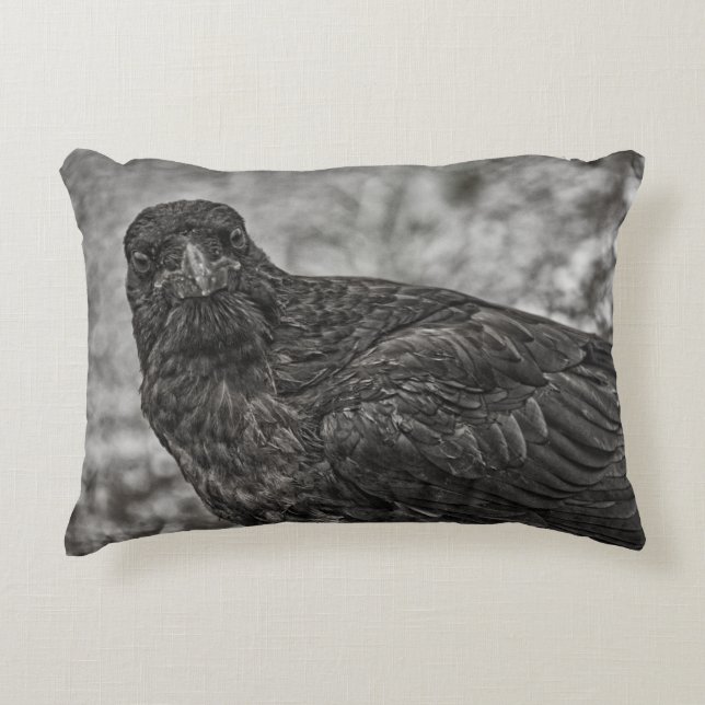Coussins Décoratifs Corbeau P9239 (Devant)
