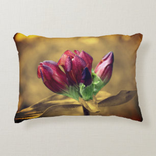 Coussins Décoratifs Couleur partielle de la fleur rouge Gentienne Sepi