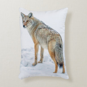 Coussins Décoratifs Coyote aux aguets dans la neige