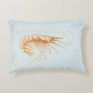 Coussins Décoratifs Crevette ou crevette, faune marine vintage animaux