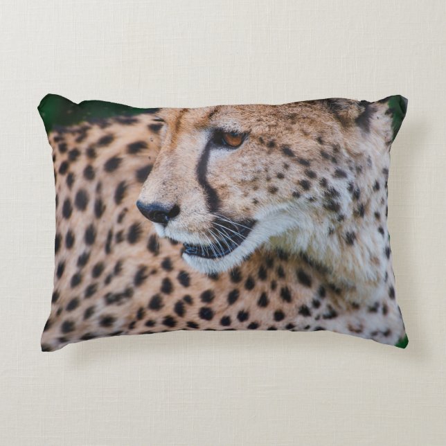 COUSSINS DÉCORATIFS CURIEUX CHEETAH (Devant)