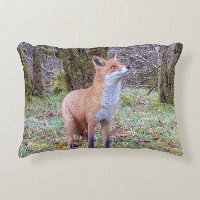 Coussins Décoratifs Customisable Red Fox Looking Up Cushion (Devant)