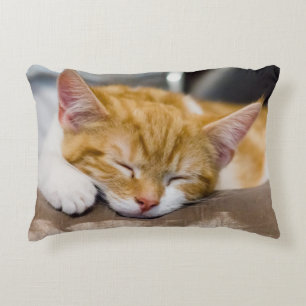 Coussins Décoratifs Cute Kitten
