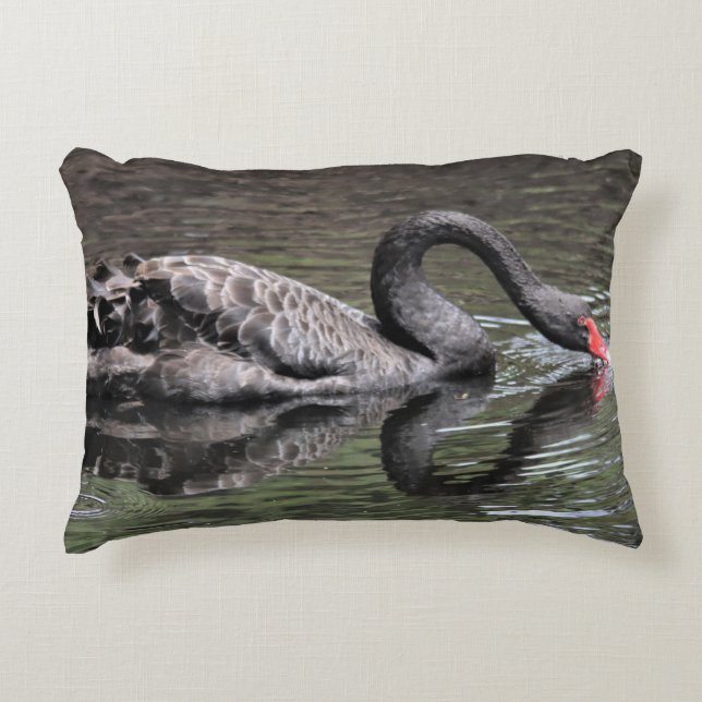 Coussins Décoratifs Cygne noir (Devant)