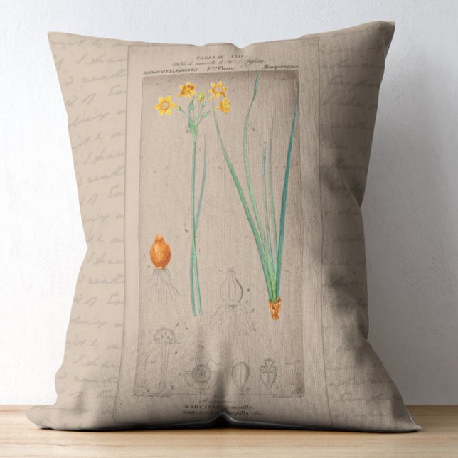 Coussins Décoratifs Daffodile d'illustration botanique française (Créateur téléchargé)