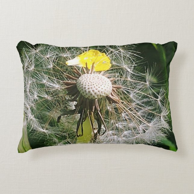 Coussins Décoratifs Dandelion mignon (Devant)