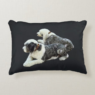 Coussins Décoratifs Deux chiens de berger
