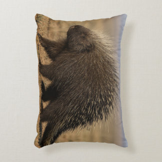 Coussins Décoratifs Dog vs. Porcupine Accent Pillow