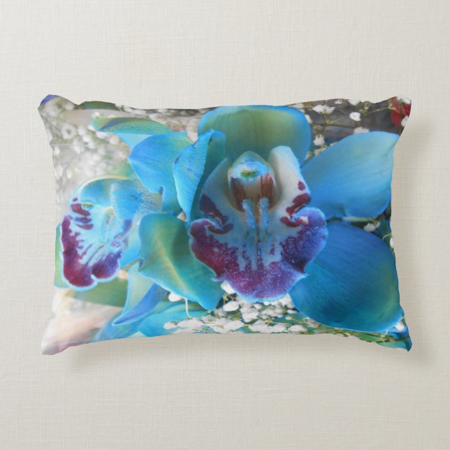 Coussins Décoratifs Donella (Devant)