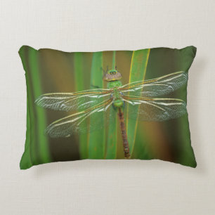 Coussins Décoratifs États-Unis, Géorgie. Libellule æschne verte sur de
