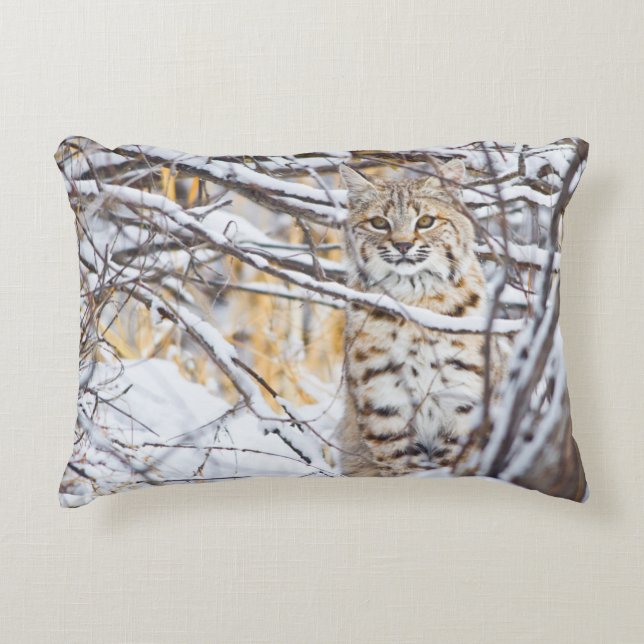 Coussins Décoratifs États-Unis, Wyoming, Bobcat (Devant)
